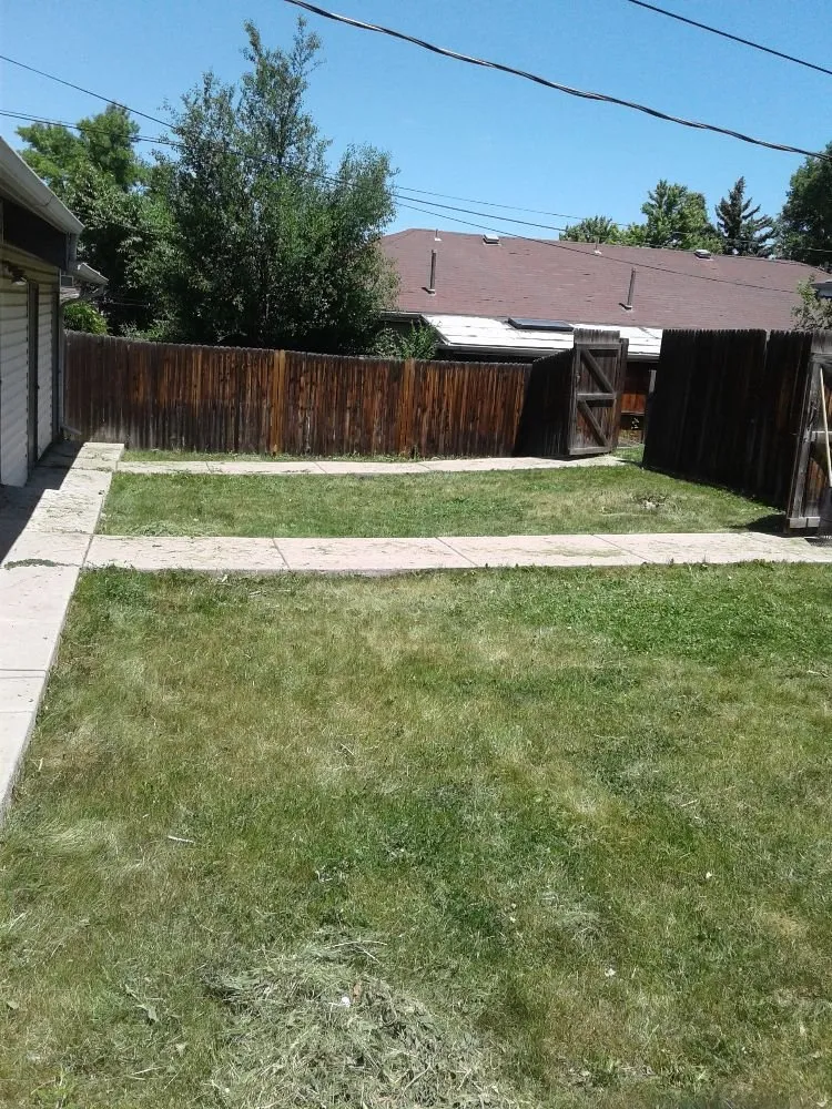 Top-rated outdoor landscaping in Denver, CO - D Lawn Services