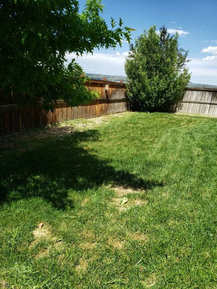 Expert outdoor landscaping for residential properties in Denver, CO by D Lawn Services