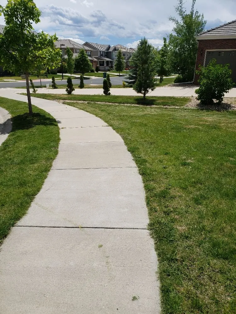 Affordable lawn mowing service experts serving Denver, CO - D Lawn Services