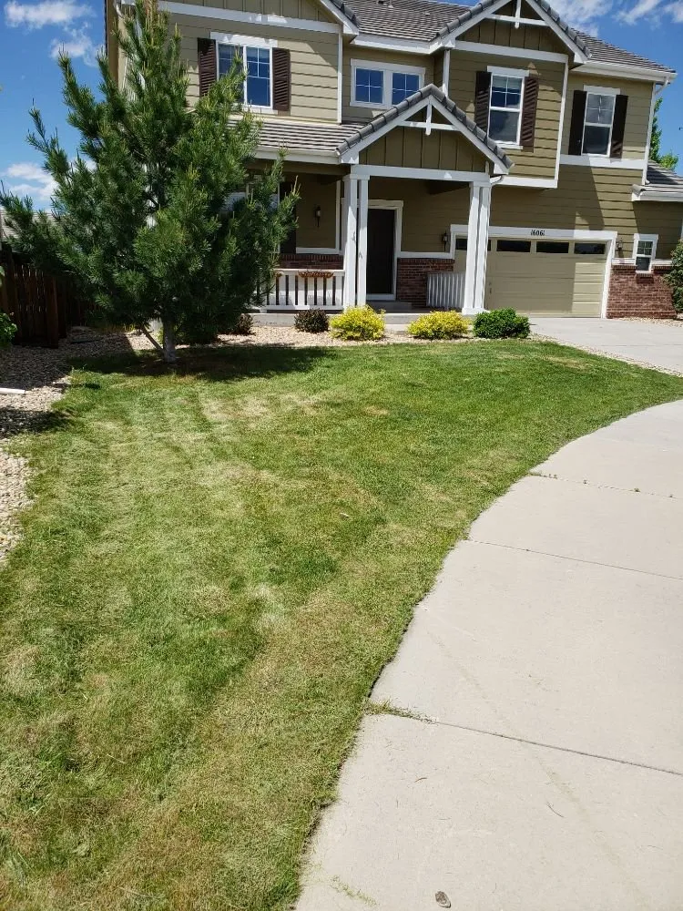 Affordable residential landscaping in Denver, CO by D Lawn Services