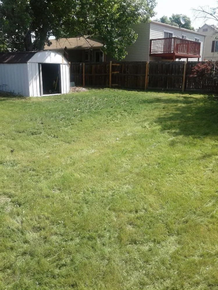 Top-rated outdoor landscaping in Denver, CO by D Lawn Services