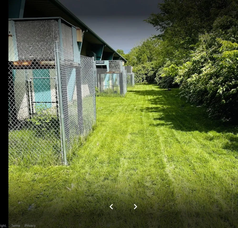 Trusted garden landscaping experts serving Florence, KY - D-Lawns Outdoor Care