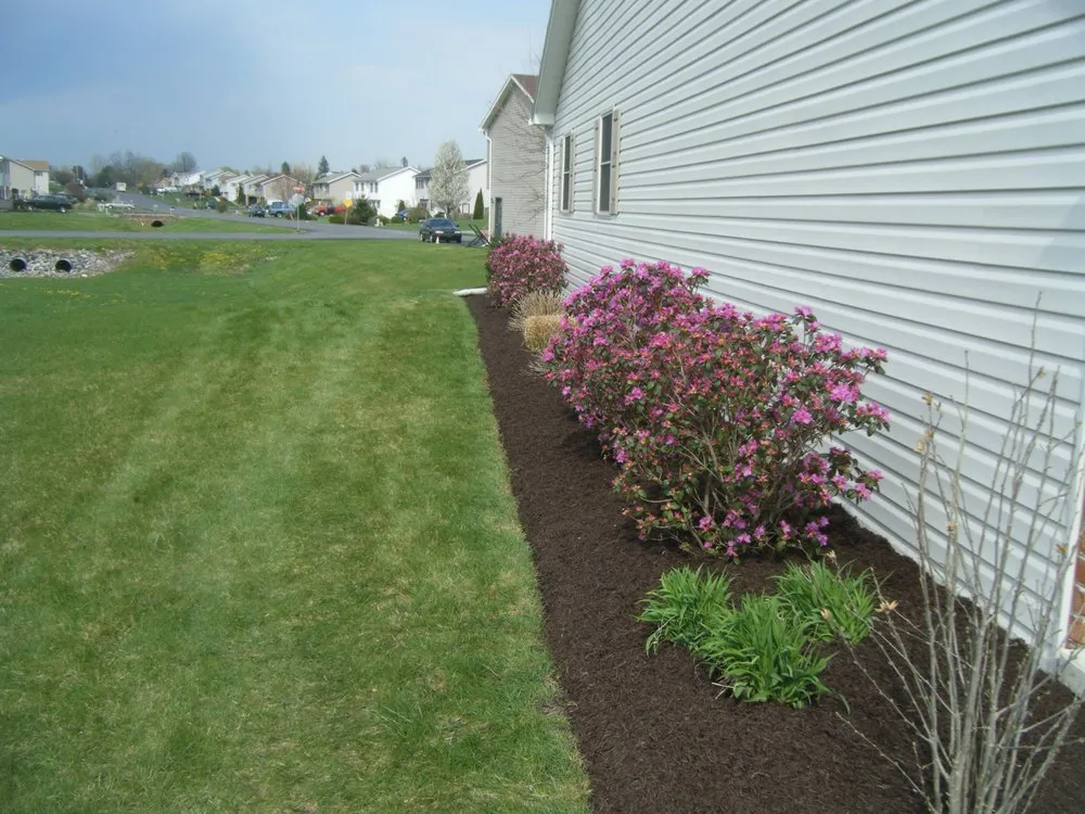 Reliable yard cleanup service with custom design across Florence, KY - D-Lawns Outdoor Care
