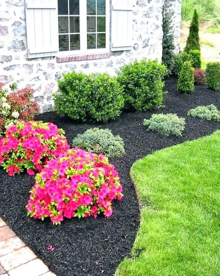 Trusted yard cleanup service for year-round maintenance in Florence, KY by D-Lawns Outdoor Care
