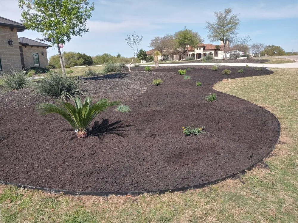 Top-rated yard maintenance for homes across San Antonio, TX - D M C Landscaping