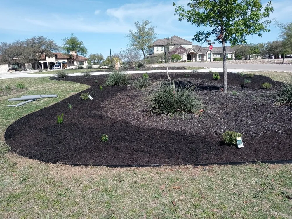 Reliable yard maintenance in San Antonio, TX by D M C Landscaping