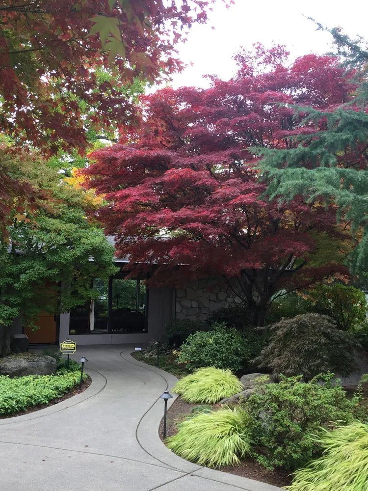 Custom yard cleanup service in Issaquah, WA - D M Ohashi Landscape Services