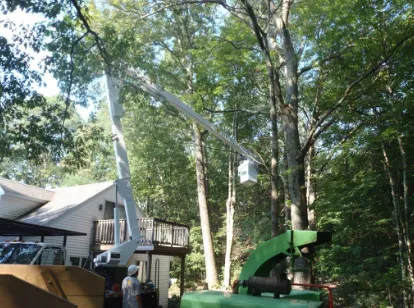 Local yard cleanup service in Wayland, MA - D M Wilkinson, Inc