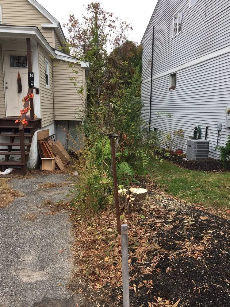 Professional yard cleanup service in Wayland, MA - D M Wilkinson, Inc