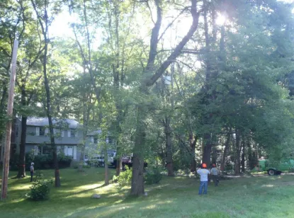 Affordable yard maintenance in Wayland, MA - D M Wilkinson, Inc