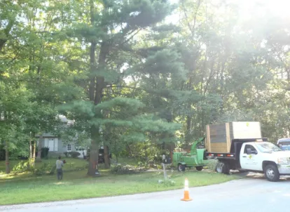 Affordable yard cleanup service experts serving Wayland, MA - D M Wilkinson, Inc