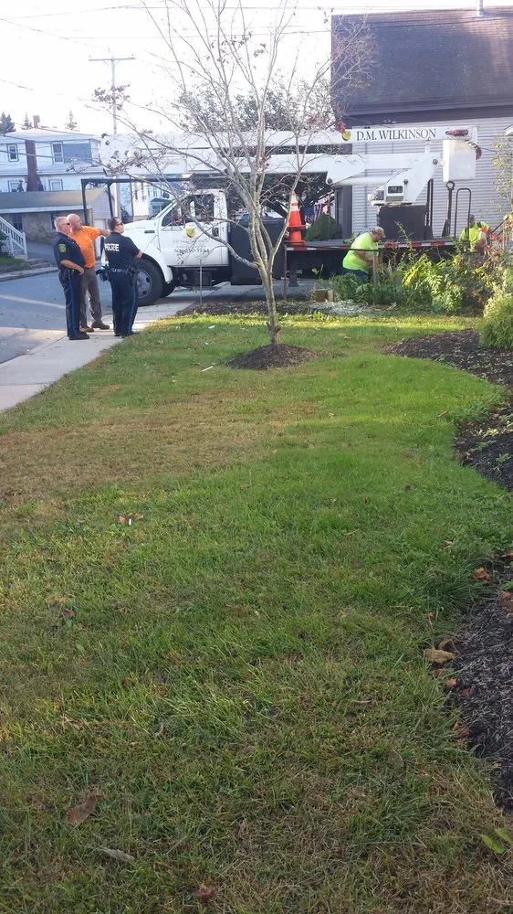 Reliable landscaping services with custom design across Wayland, MA - D M Wilkinson, Inc