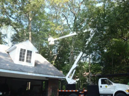 Professional yard cleanup service experts serving Wayland, MA - D M Wilkinson, Inc