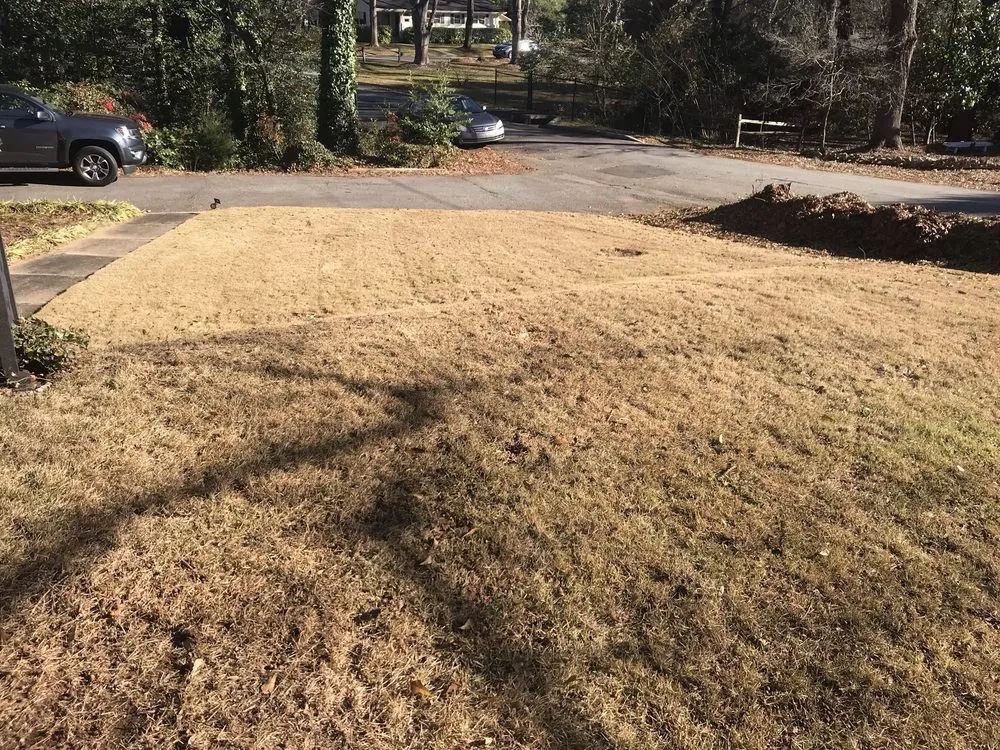 Expert lawn mowing service experts serving Spartanburg, SC - D. Mack Lawn Care Services