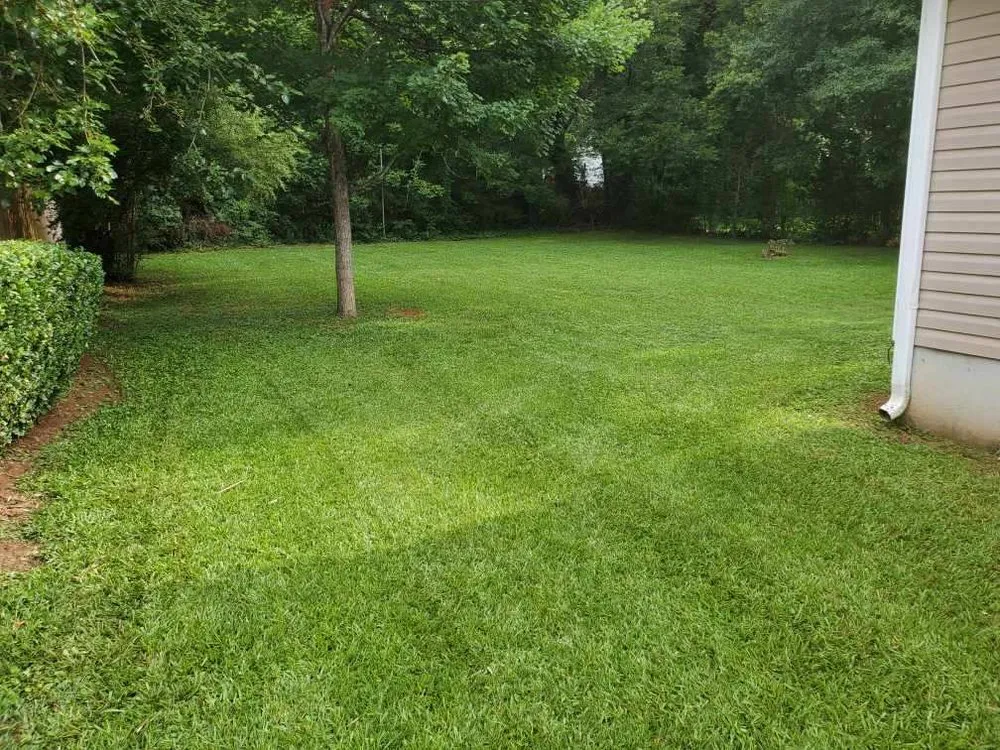 Professional outdoor landscaping in Spartanburg, SC by D. Mack Lawn Care Services