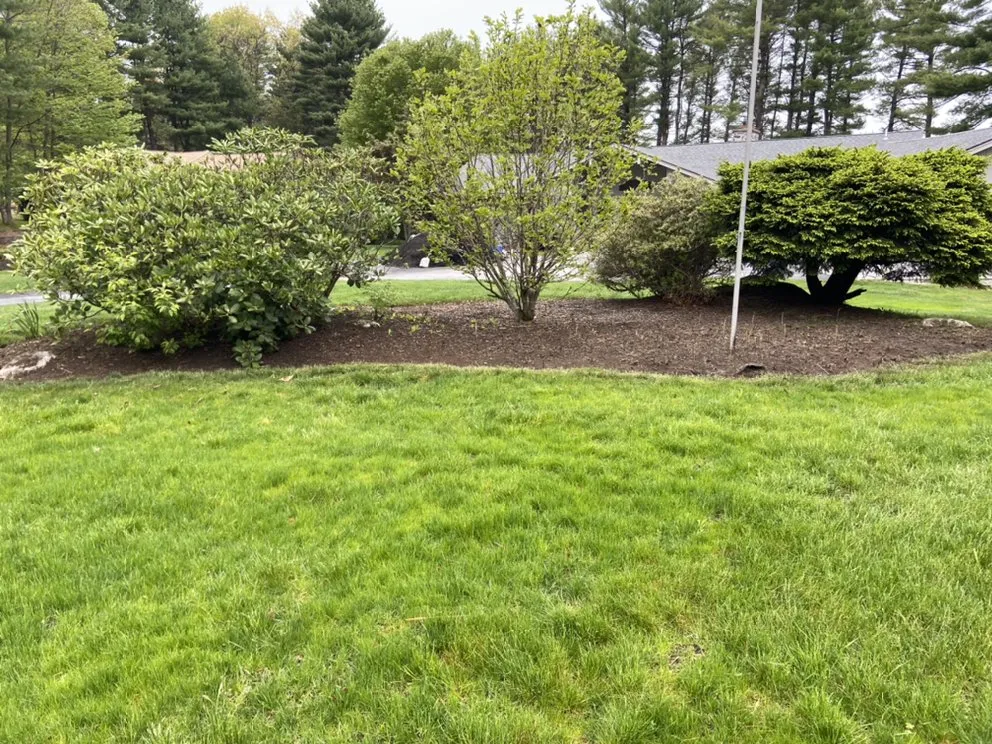 Local outdoor landscaping in Methuen, MA by D Marcello Landscaping