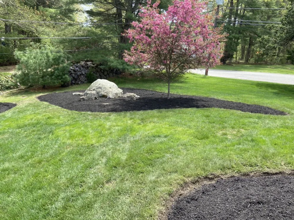 Reliable yard cleanup service in Methuen, MA - D Marcello Landscaping