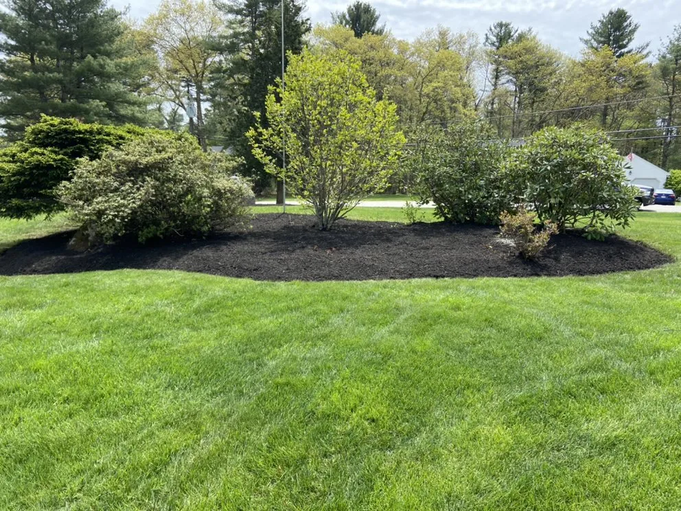 Local yard maintenance near you in Methuen, MA by D Marcello Landscaping