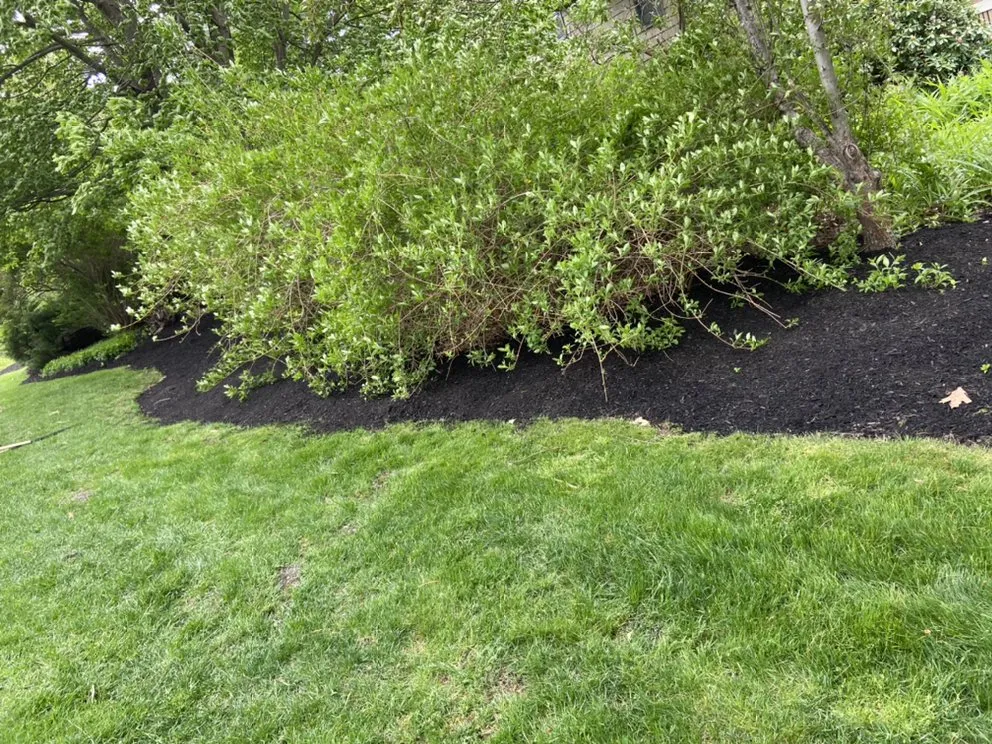 Reliable yard maintenance near you across Methuen, MA - D Marcello Landscaping