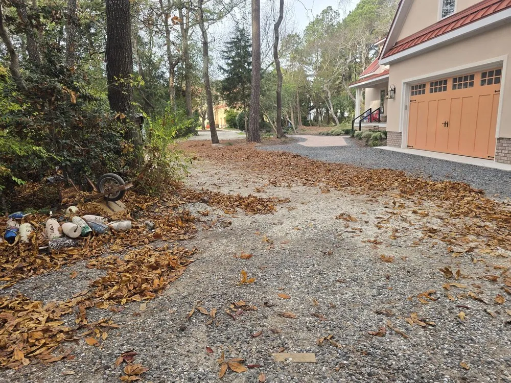 Custom yard maintenance experts serving Accomac, VA - D Martinez Professional Lawn Care