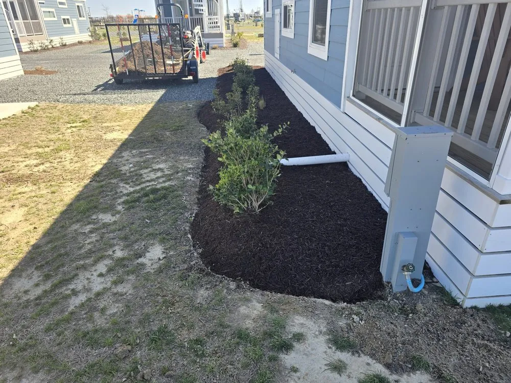 Local lawn care service experts serving Accomac, VA - D Martinez Professional Lawn Care