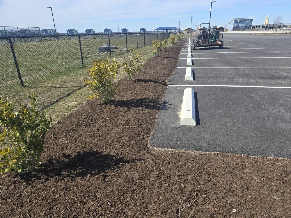 Affordable landscaping services in Accomac, VA - D Martinez Professional Lawn Care