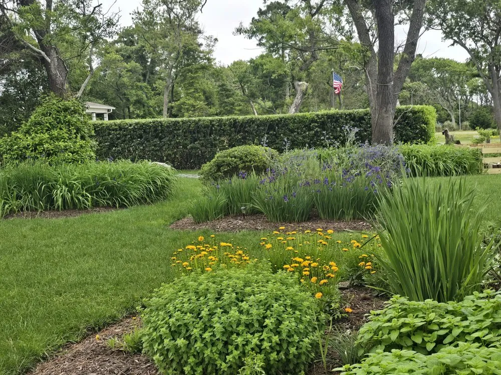 Expert landscape design in Accomac, VA - D Martinez Professional Lawn Care