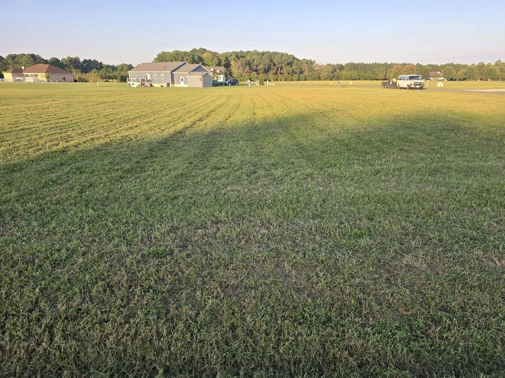 Reliable landscape design for outdoor upgrades in Accomac, VA by D Martinez Professional Lawn Care