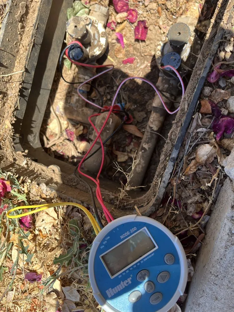 Custom yard cleanup service experts serving Phoenix, AZ - D’ McGuire’s Landscaping Services