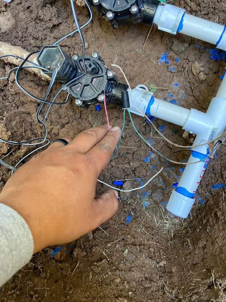 Trusted yard maintenance near you across Phoenix, AZ - D’ McGuire’s Landscaping Services