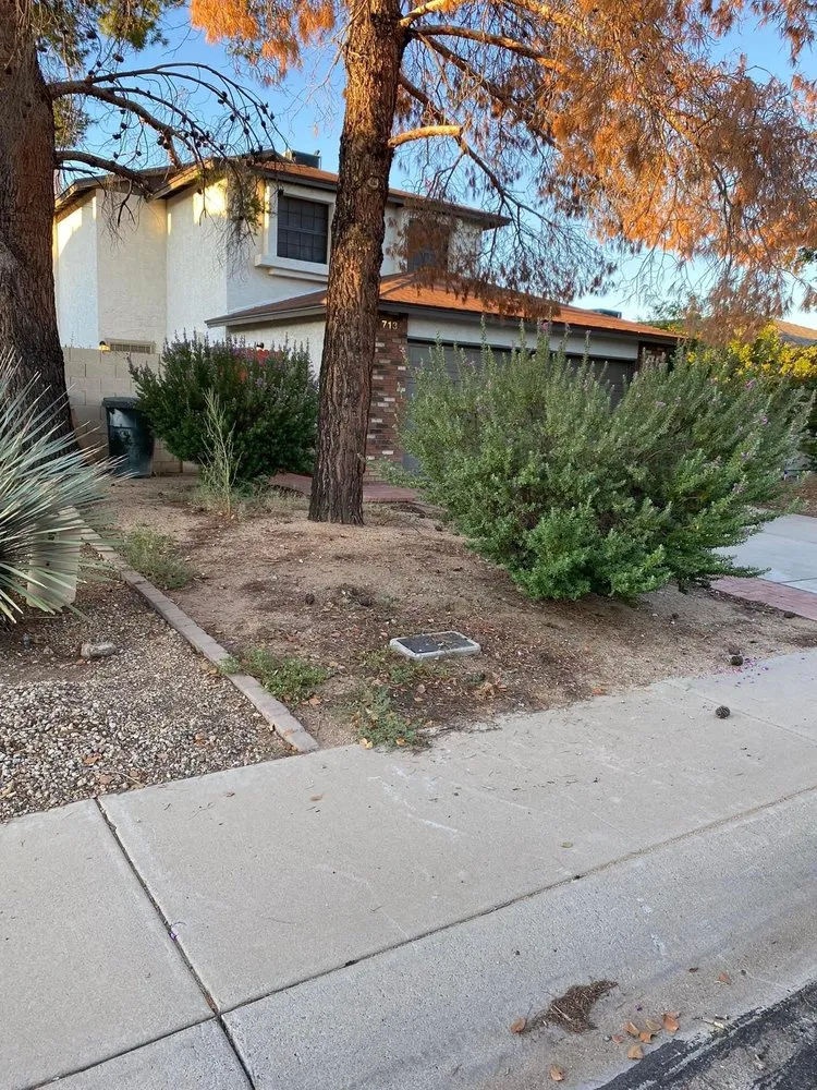 Local yard cleanup service in Phoenix, AZ by D’ McGuire’s Landscaping Services