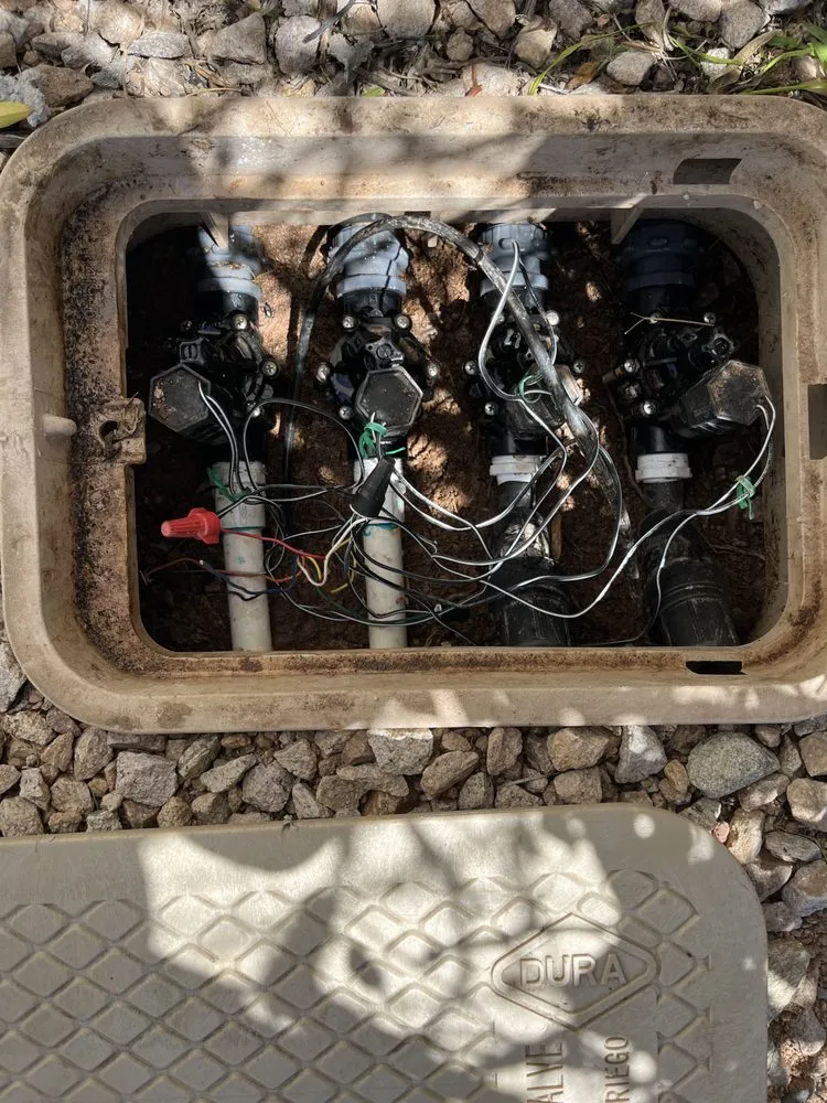 Trusted landscape design for homes across Phoenix, AZ - D’ McGuire’s Landscaping Services