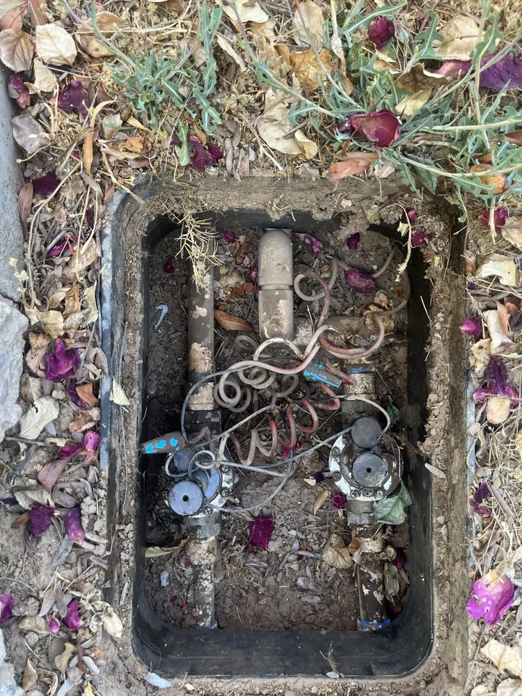 Custom landscape design experts serving Phoenix, AZ - D’ McGuire’s Landscaping Services