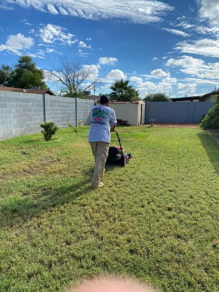 Top-rated landscape design in Phoenix, AZ - D’ McGuire’s Landscaping Services