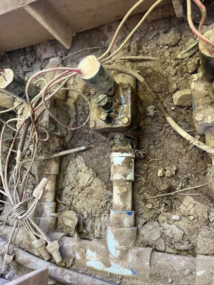 Expert garden landscaping in Phoenix, AZ - D’ McGuire’s Landscaping Services