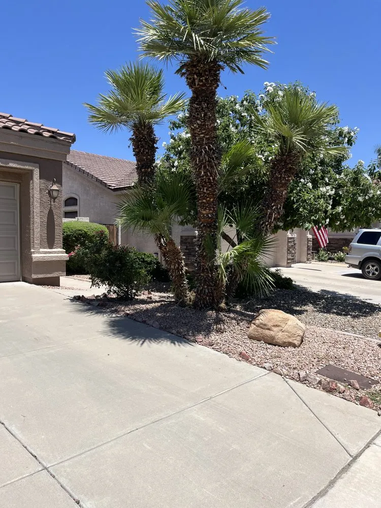 Trusted lawn care service in Phoenix, AZ by D’ McGuire’s Landscaping Services