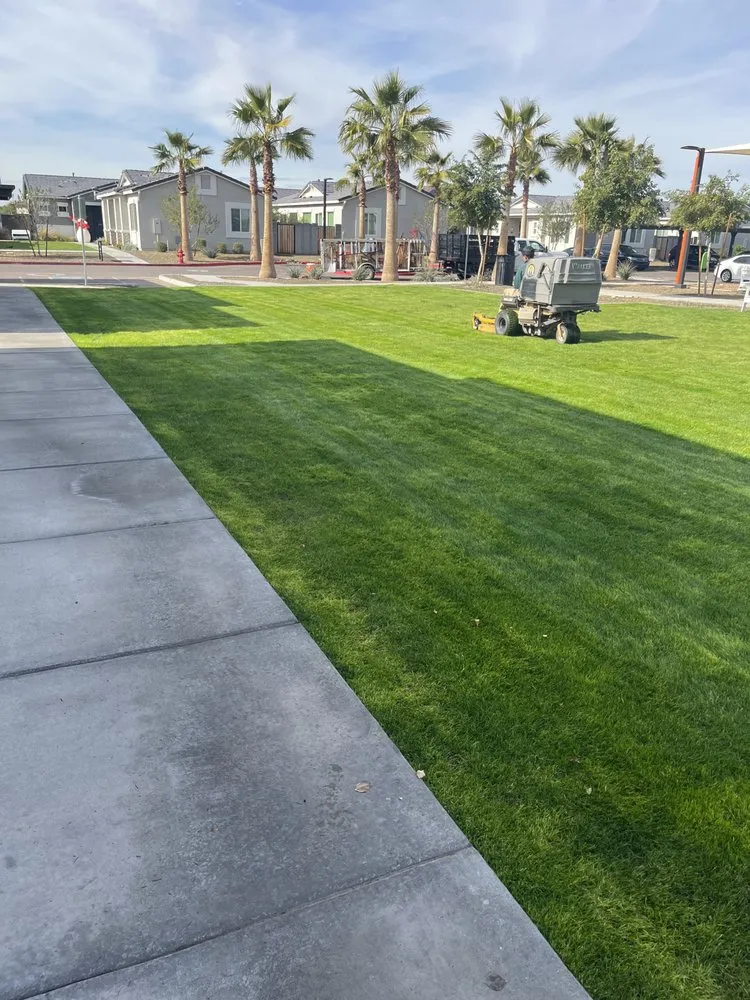 Top-rated lawn care service experts serving Phoenix, AZ - D’ McGuire’s Landscaping Services