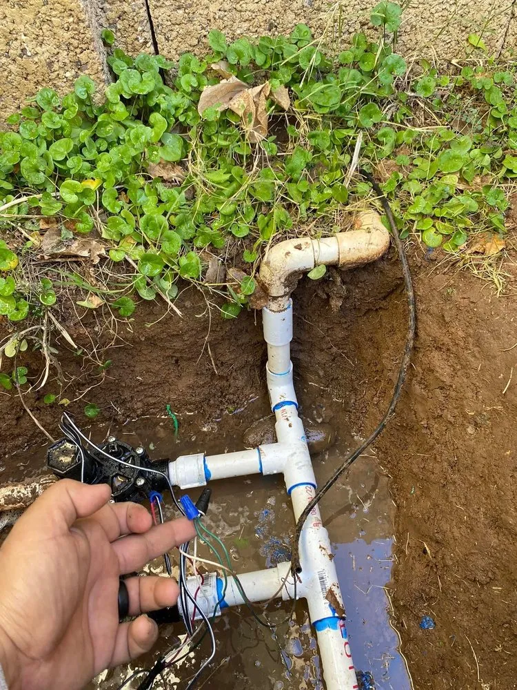 Local outdoor landscaping for beautiful yards in Phoenix, AZ by D’ McGuire’s Landscaping Services