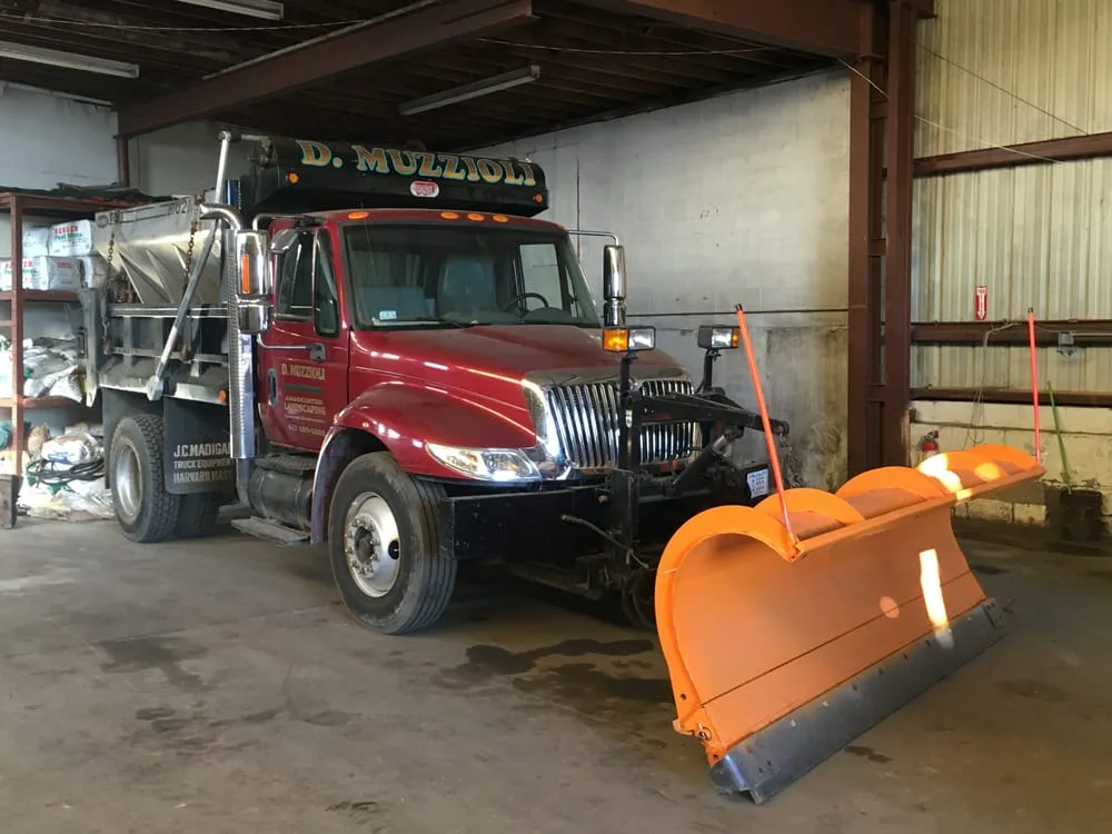 Top-rated yard cleanup service in Belmont, MA by D Muzzioli Associates