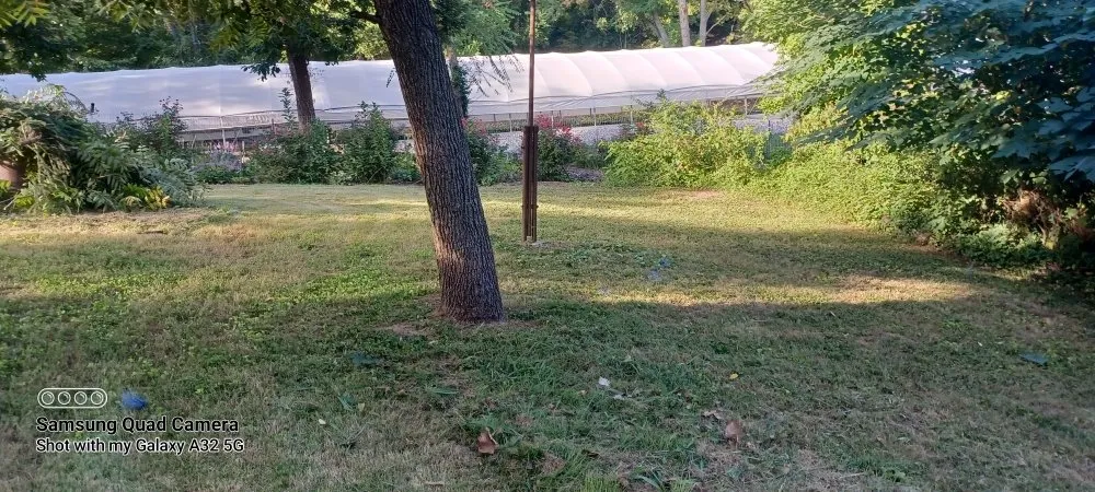 Expert landscaping services near you in Swansea, IL by D-N-J Lawn Maintenance,Tree Removal, and Landscape Design