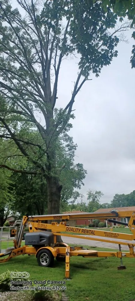 Reliable residential landscaping with custom design in Swansea, IL by D-N-J Lawn Maintenance,Tree Removal, and Landscape Design