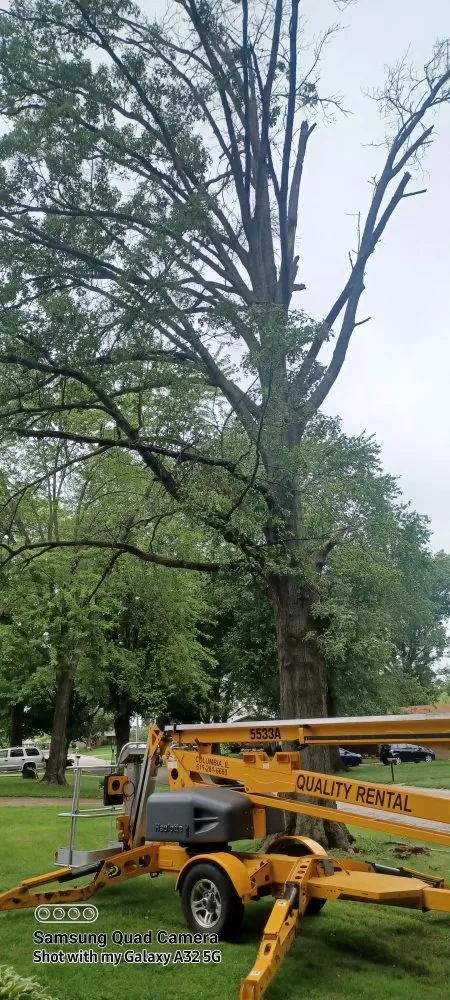 Affordable landscape design with custom design in Swansea, IL by D-N-J Lawn Maintenance,Tree Removal, and Landscape Design