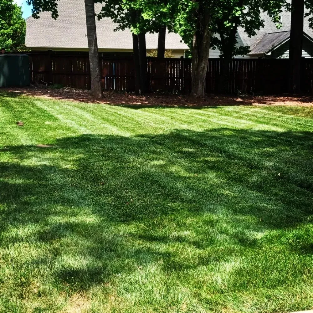 Professional residential landscaping for beautiful yards in Richmond, VA by D N J Outdoor Solutions