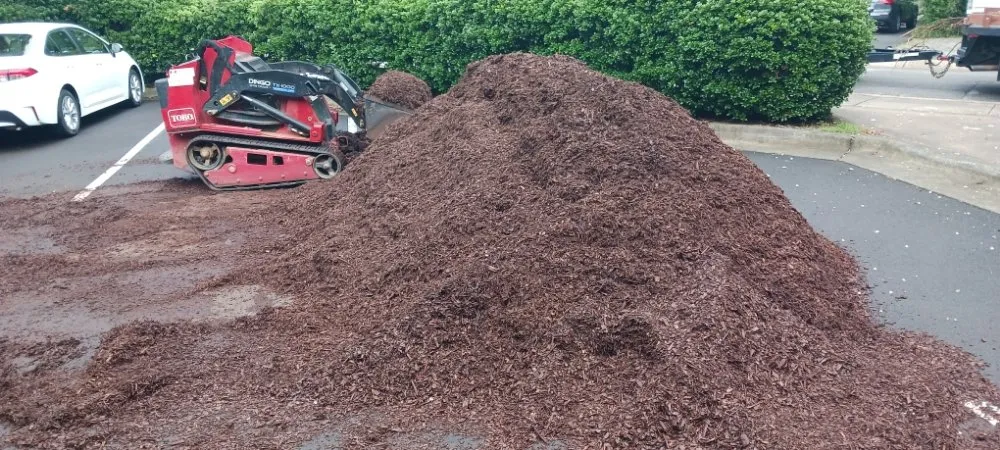 Reliable residential landscaping for outdoor upgrades across Richmond, VA - D N J Outdoor Solutions