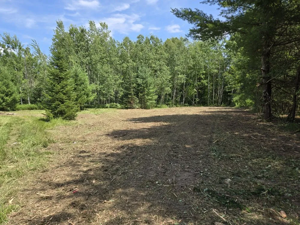 Expert yard cleanup service in Lake City, MI - D N J’s Lot clearing