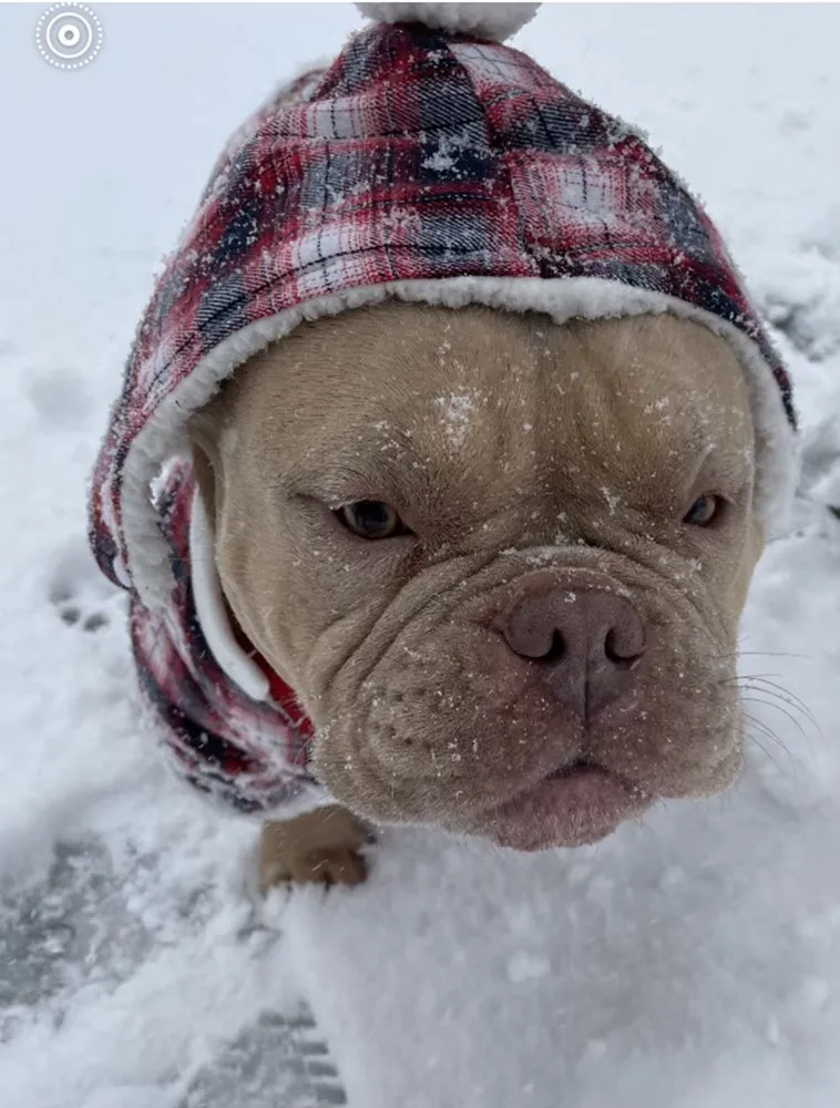 Affordable yard maintenance experts serving Richmond, VA - D-Noakes Tree & Outdoor Services