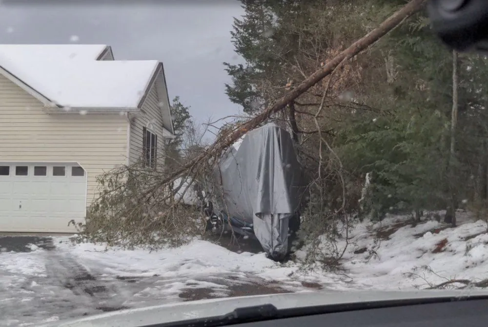 Custom landscaping services experts serving Richmond, VA - D-Noakes Tree & Outdoor Services