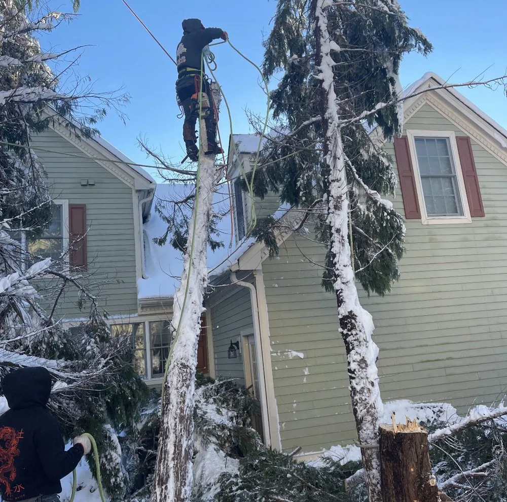 Professional lawn mowing service in Richmond, VA by D-Noakes Tree & Outdoor Services