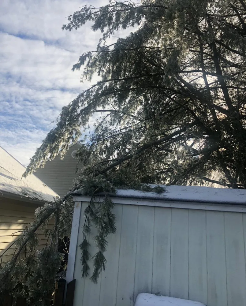 Custom landscape design in Richmond, VA by D-Noakes Tree & Outdoor Services