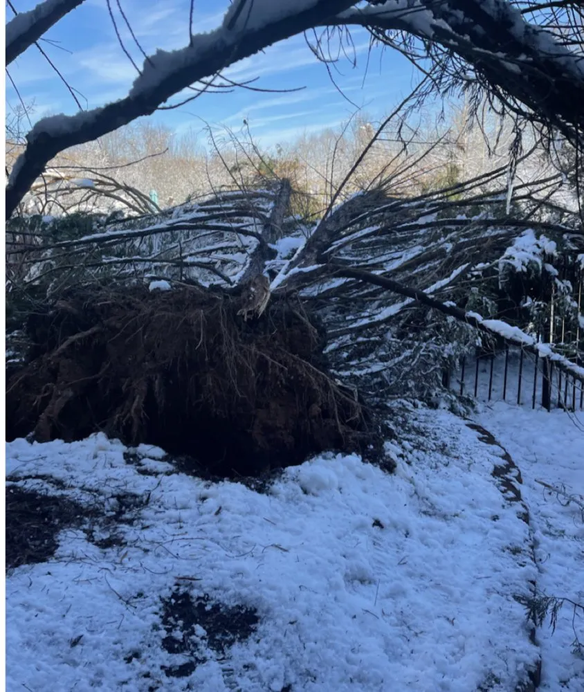 Reliable landscape installation near you across Richmond, VA - D-Noakes Tree & Outdoor Services